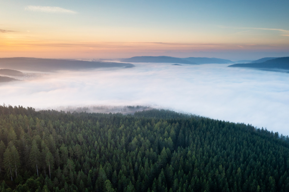 Morgennebel über dem Schluchsee