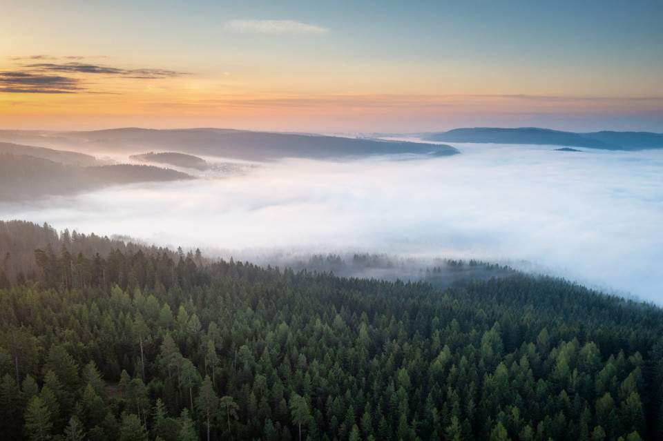 Morgennebel über dem Schluchsee