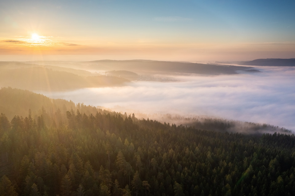 Morgennebel über dem Schluchsee