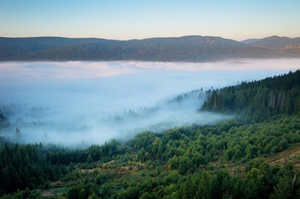 Morgennebel über dem Schluchsee