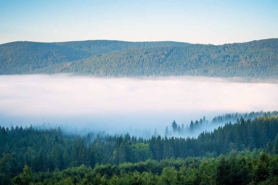 Morgennebel über dem Schluchsee