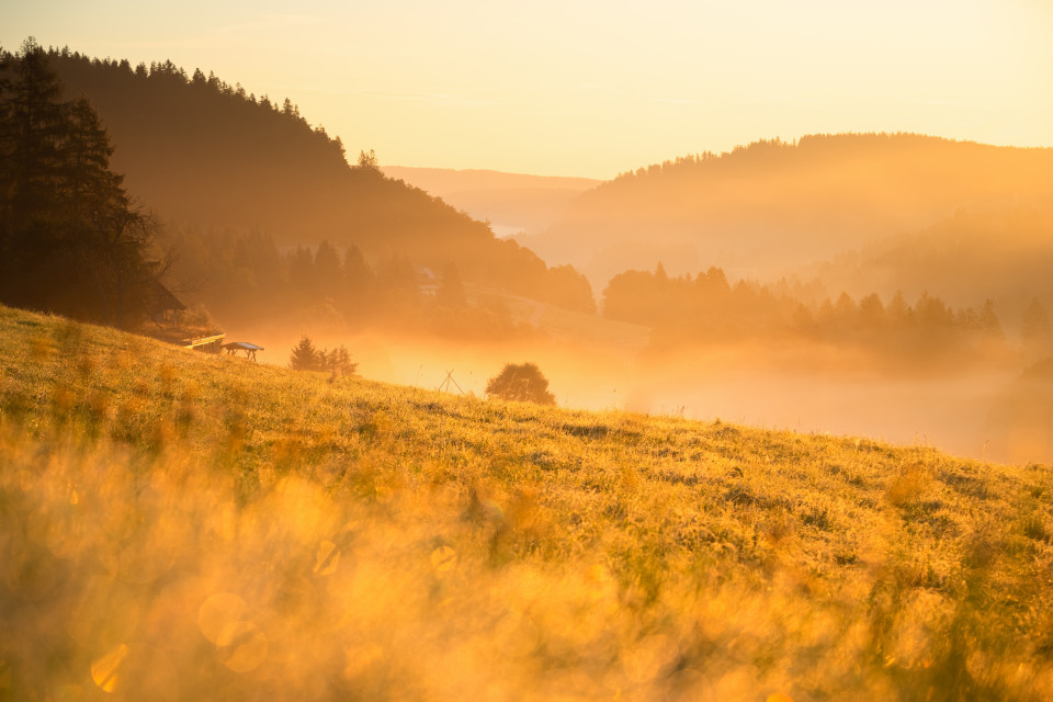 Morgenstimmung im Seebachtal