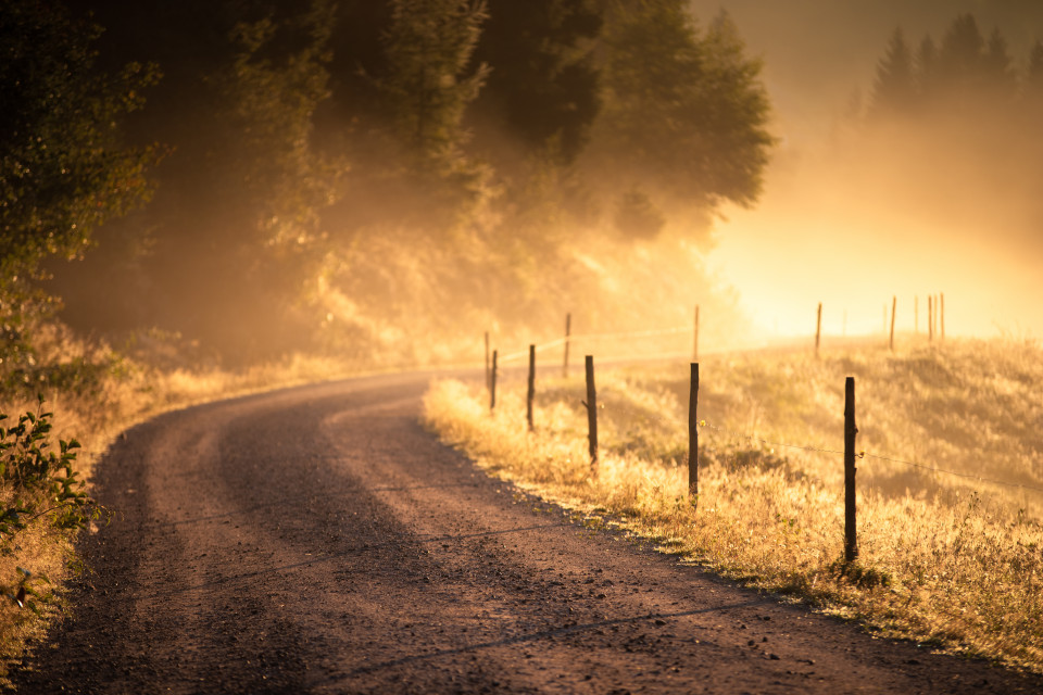 Morgenstimmung im Seebachtal