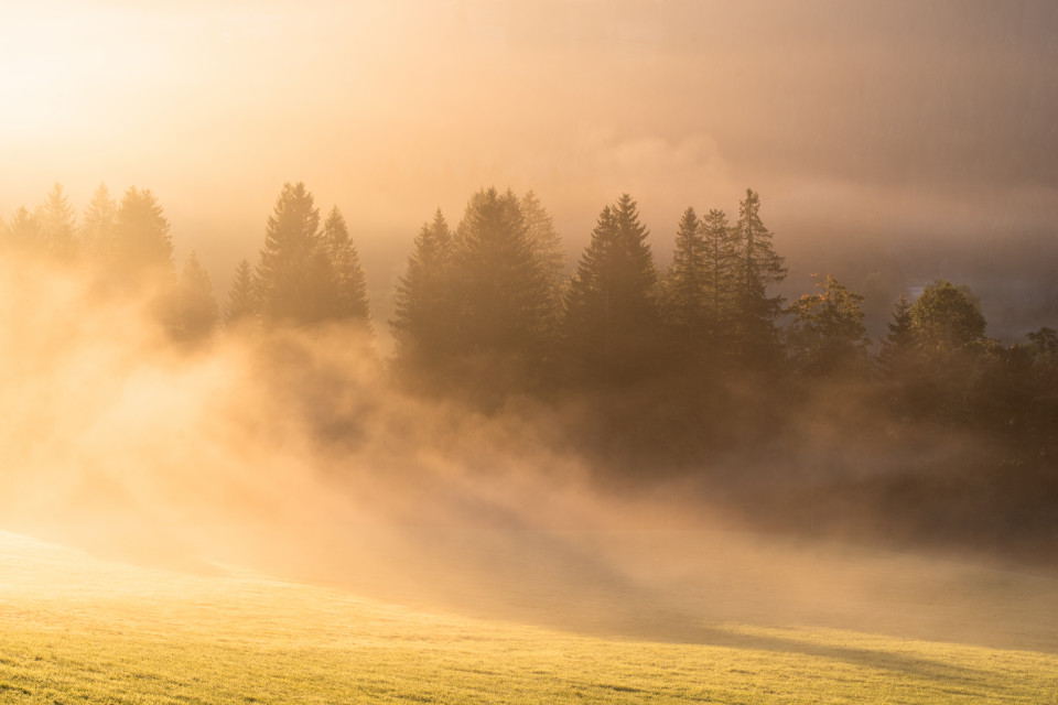 Morgenstimmung im Seebachtal