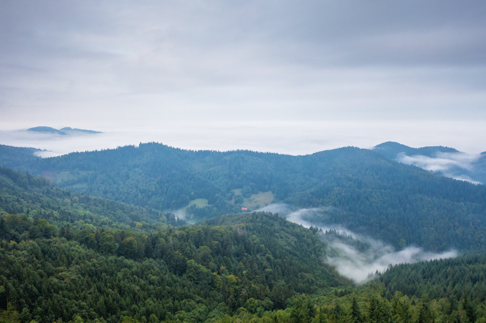 Blick zur Rheinebene zwischen Nebel und Hochnebel