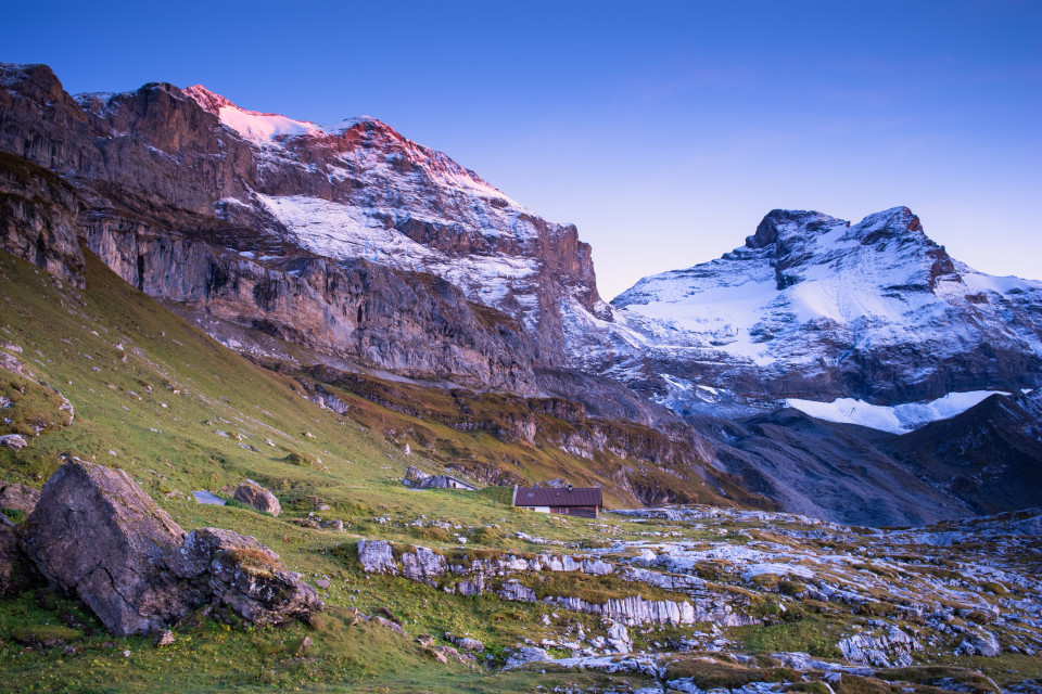 Chammlialp, Blick auf Chammliberg und Gross Schärhorn 