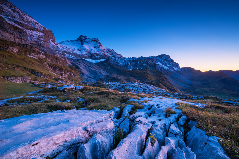 Chammlialp, Blick auf Chammliberg, Gross Schärhorn, Griessstock