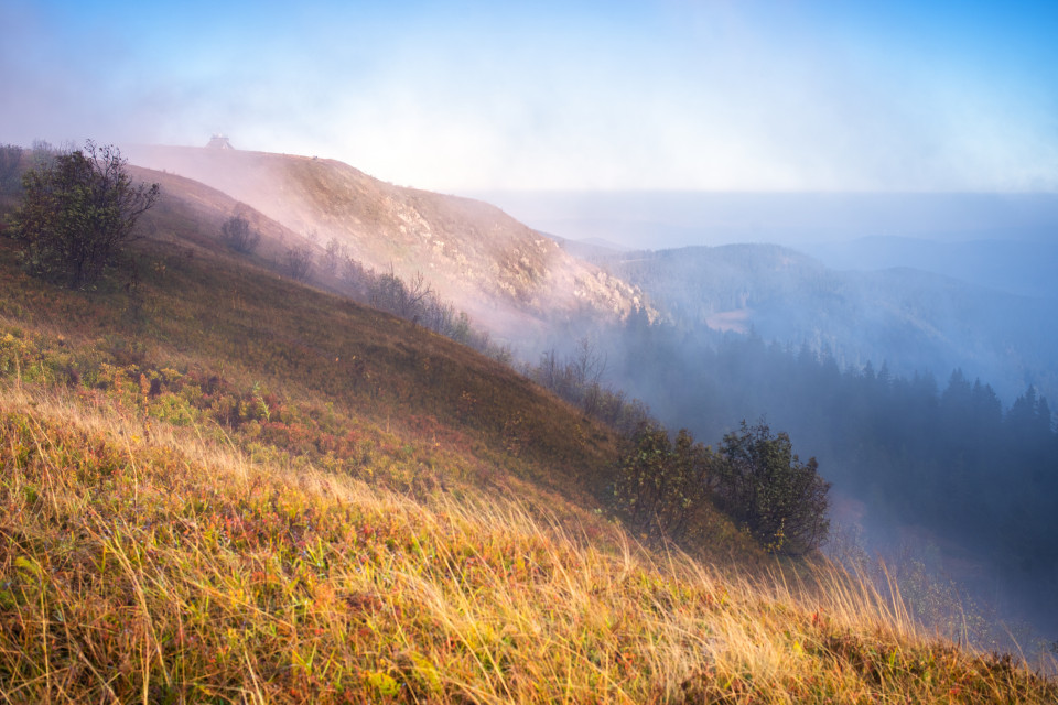 Nebelschwaden über dem Feldberg