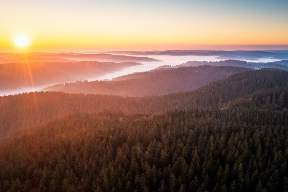 Herbstmorgen über dem Brend, Blick Richtung Furtwangen