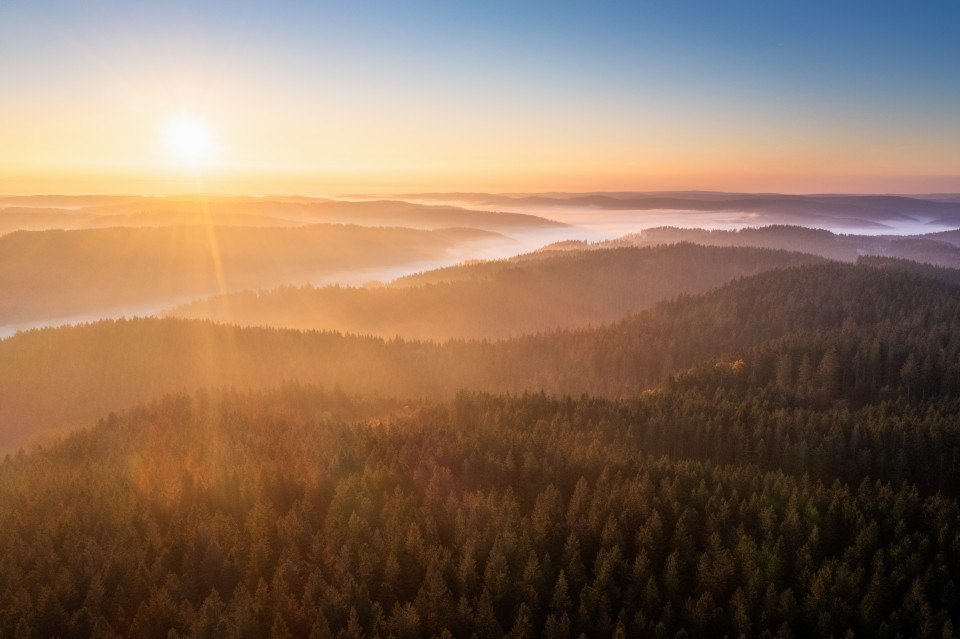 Herbstmorgen über dem Brend, Blick Richtung Furtwangen