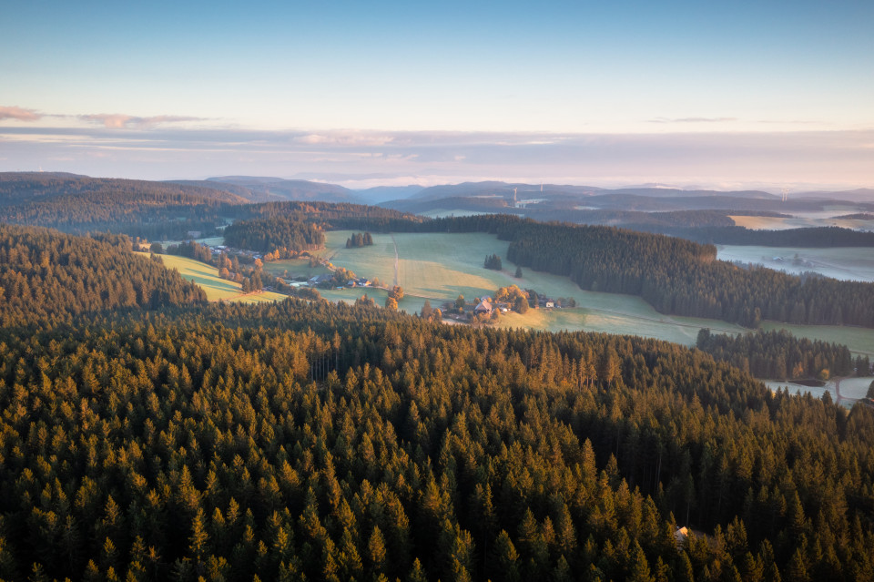 Blick über das Bregquellgebiet