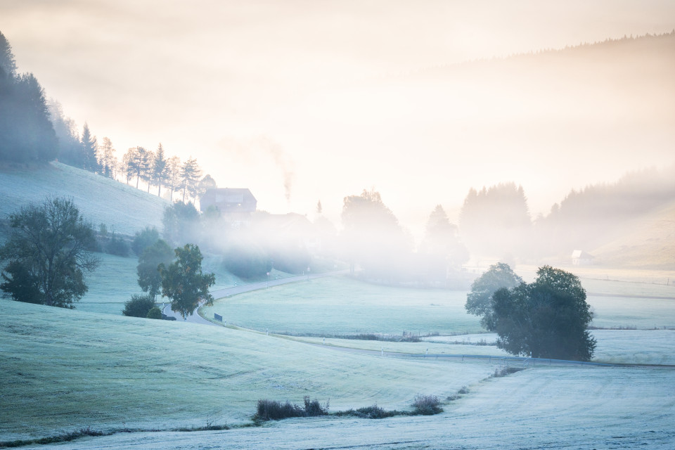 Herbstmorgenstimmung bei Waldau