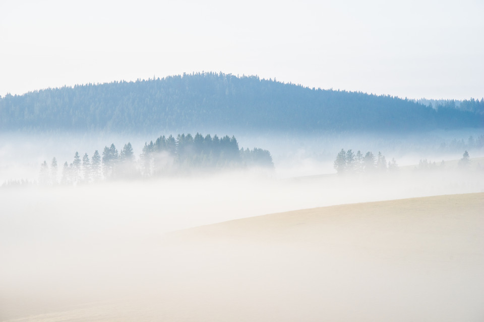 Frühnebel über dem Jostal