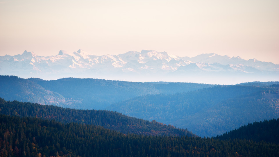 Blick vom Schauinsland zu den Alpen