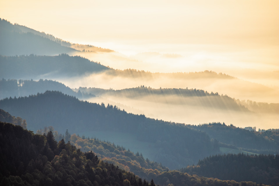 Nebel unter dem Schauinsland