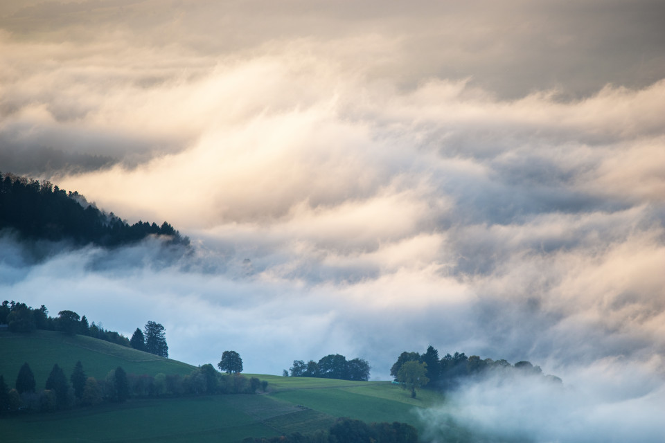 Nebel unter dem Schauinsland