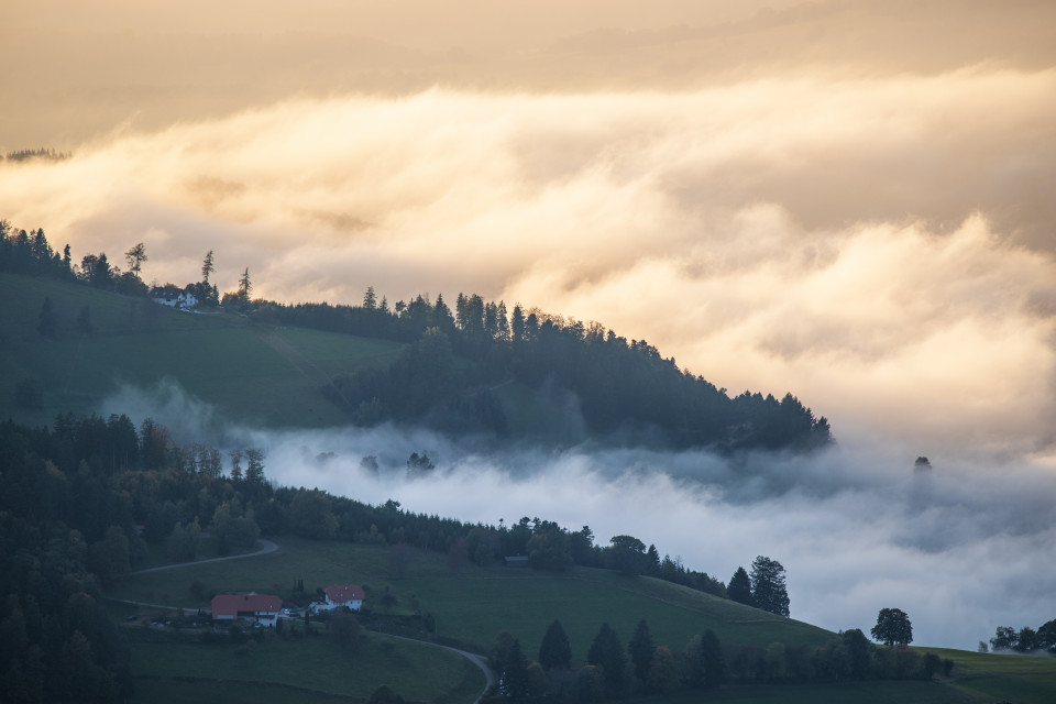 Nebel unter dem Schauinsland