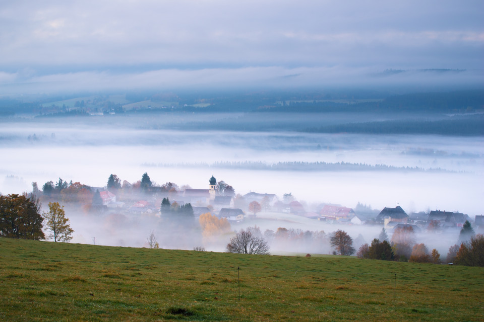 Morgennebel über Kappel