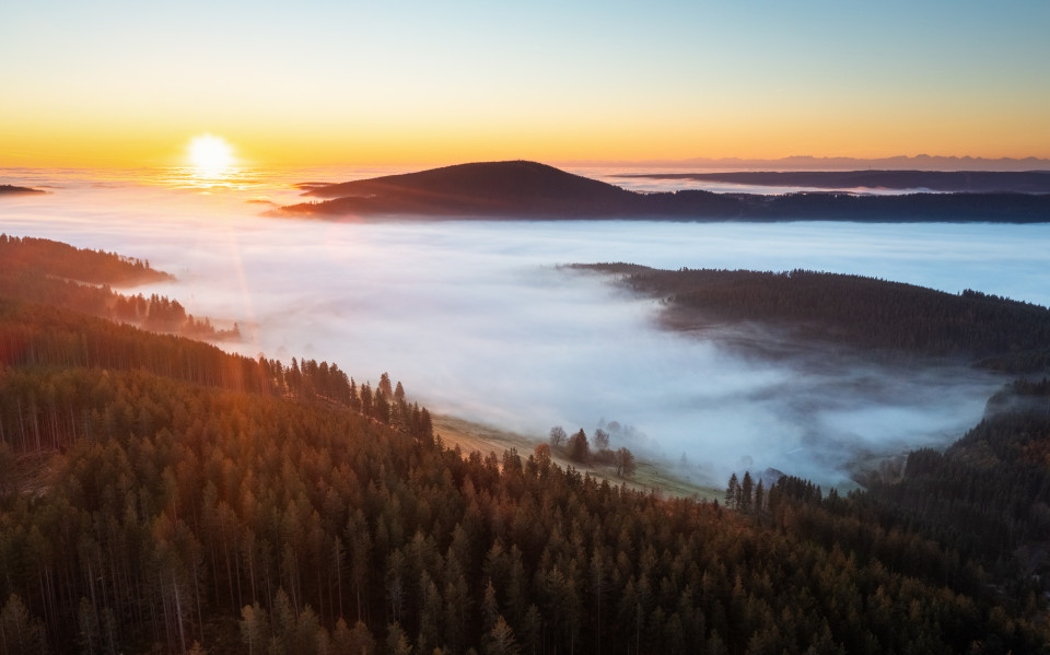 Sonnenaufgang über dem nebligen Spriegelsbachtal