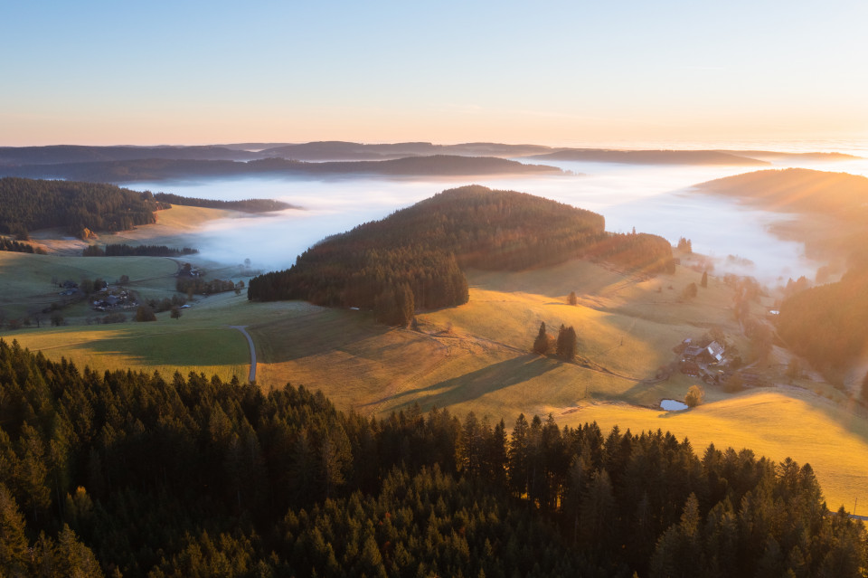 Nebel über dem Schildwendetal