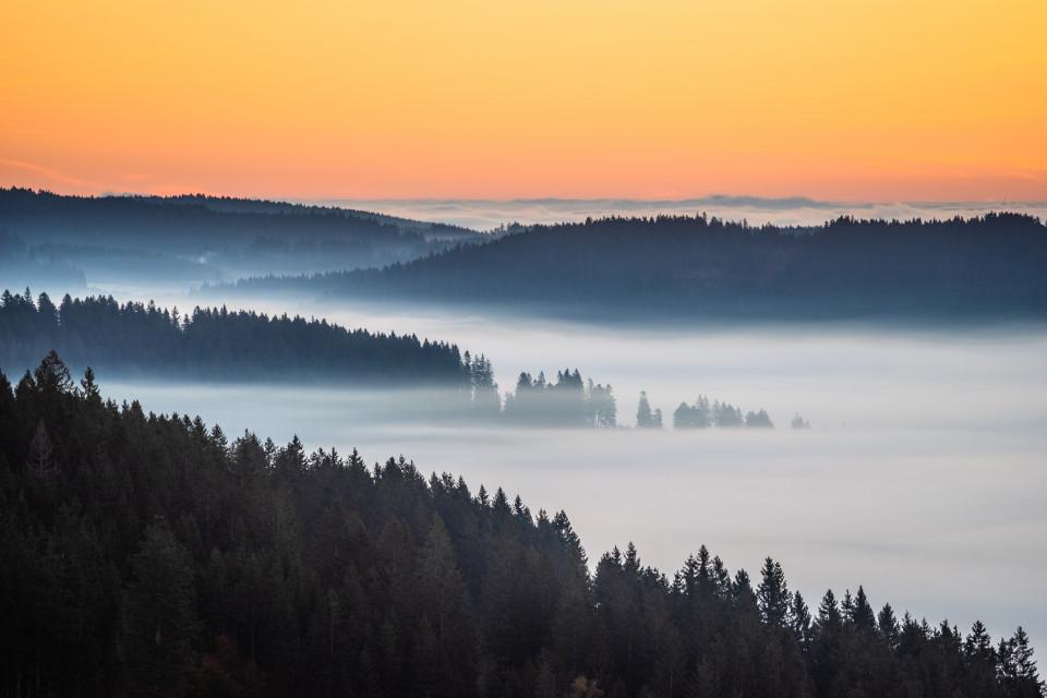 Nebel über dem Schildwendetal