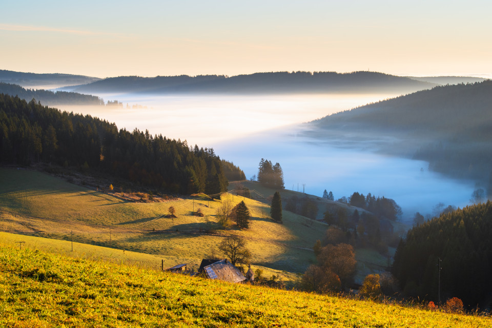 Nebel über dem Schildwendetal