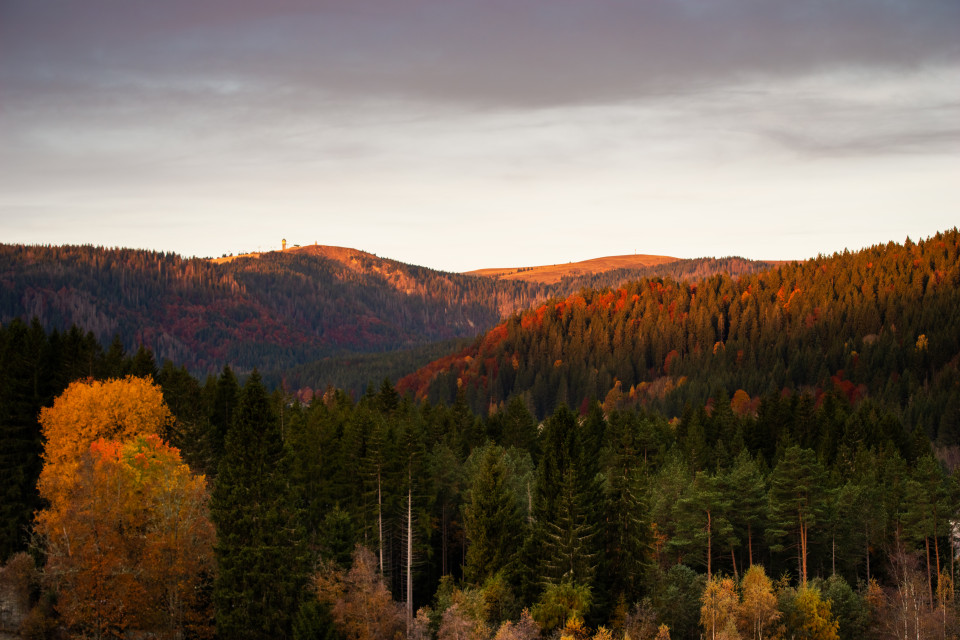 Feldbergblick im Spätherbst