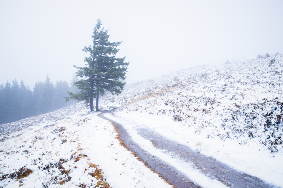 Erster Schnee auf dem Feldberg