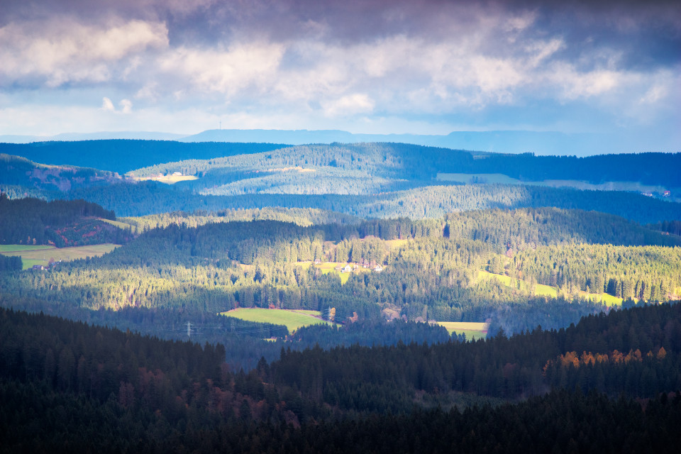 Licht und Schatten über der Schwarzwaldlandschaft