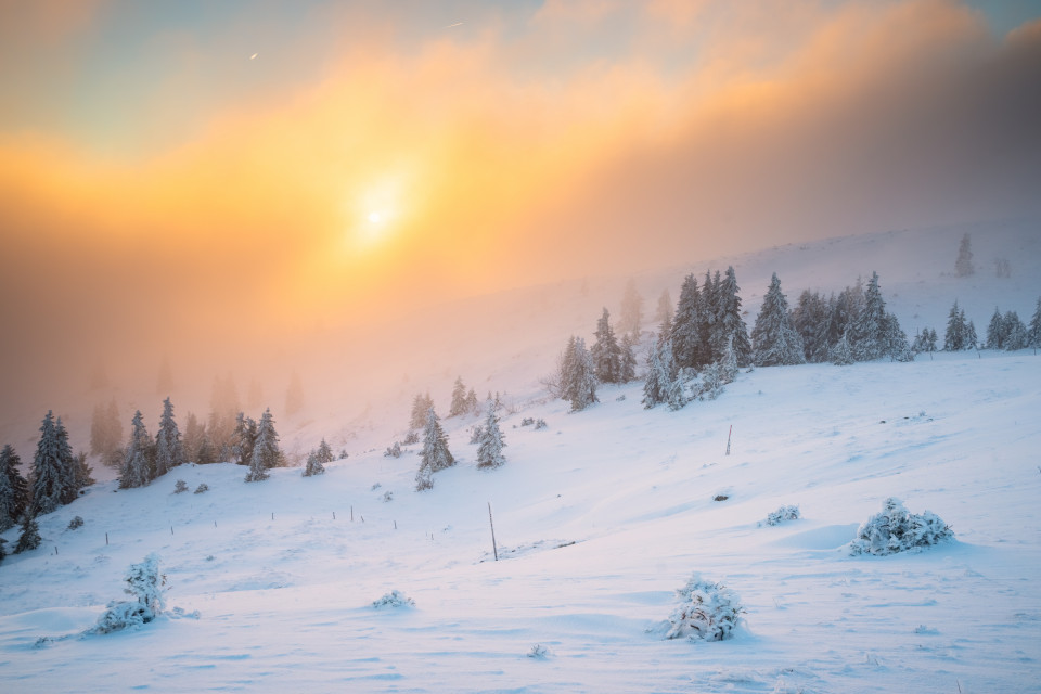 Sonnenaufgang im Nebel auf dem Baldenweger Buck