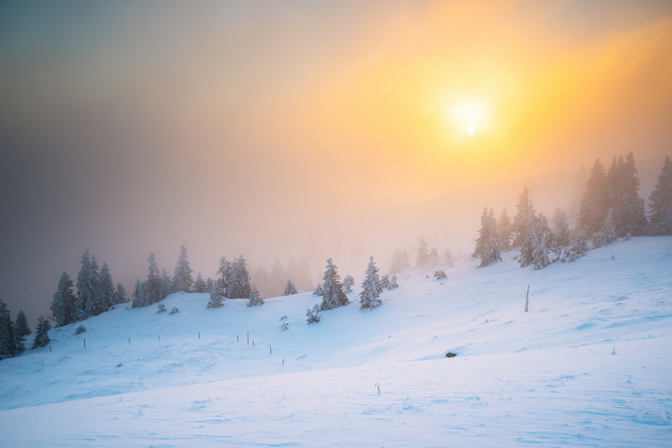 Sonnenaufgang im Nebel auf dem Baldenweger Buck