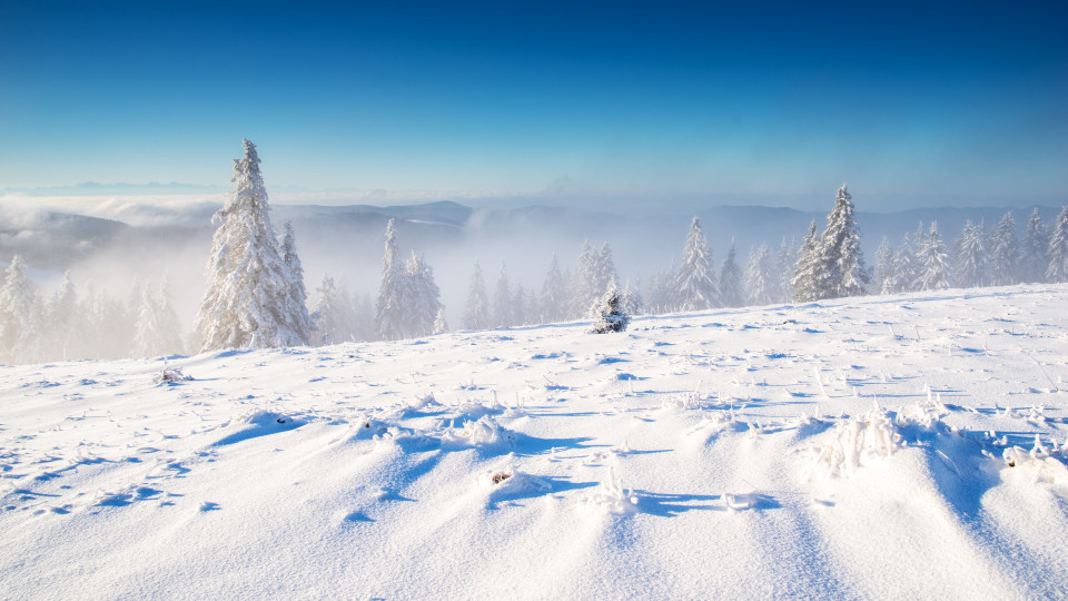 Winterlandschaft, Feldberg