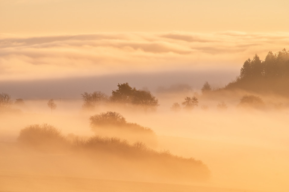 Landschaft an der Nebelgrenze