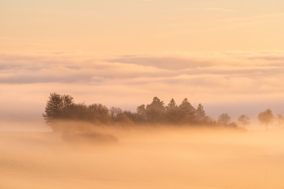 Landschaft an der Nebelgrenze