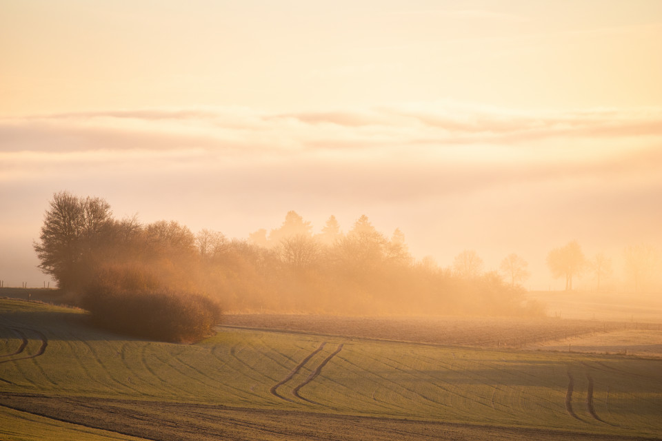 Landschaft an der Nebelgrenze