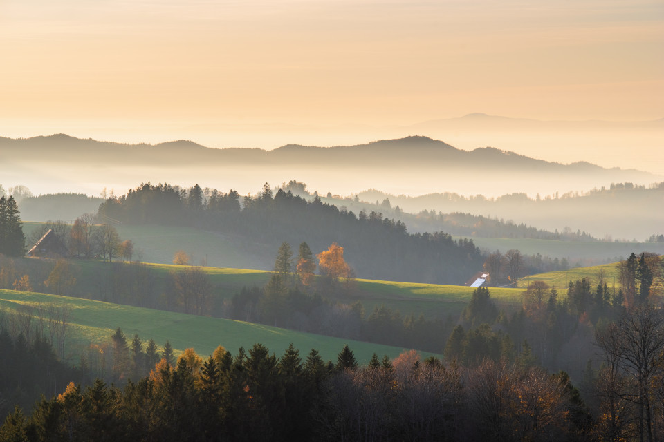 Spätherbstlandschaft bei St. Märgen