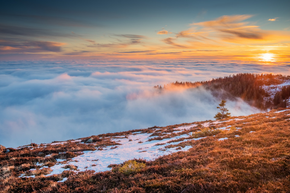 Sonnenaufgang, Baldenweger Buck