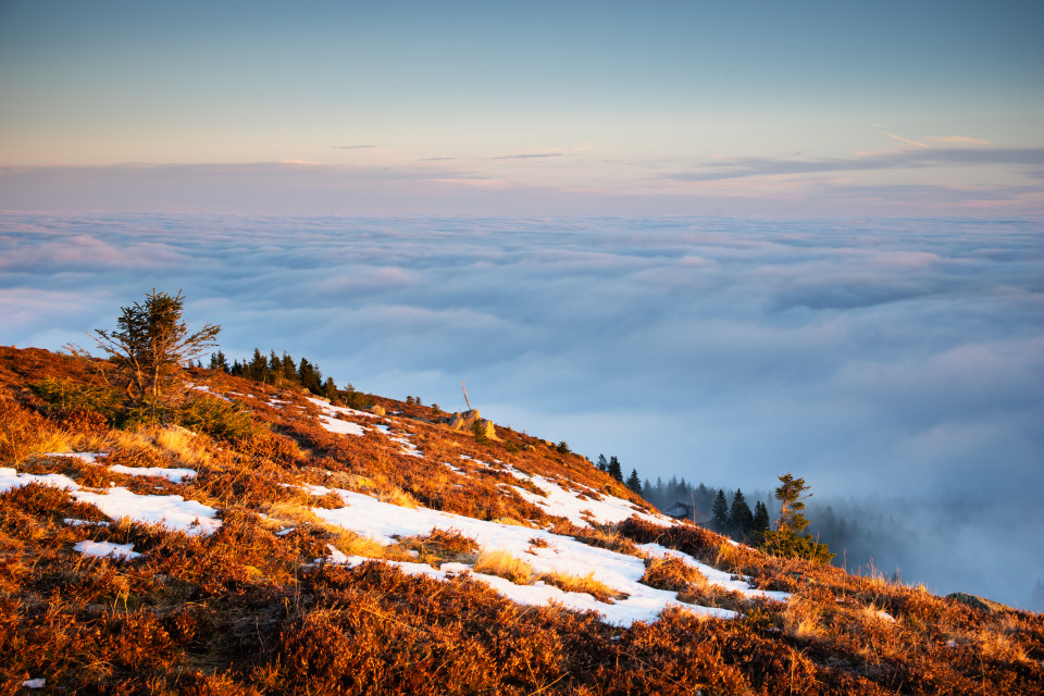 Morgenstimmung mit Nebelmeer auf dem Baldenweger Buck