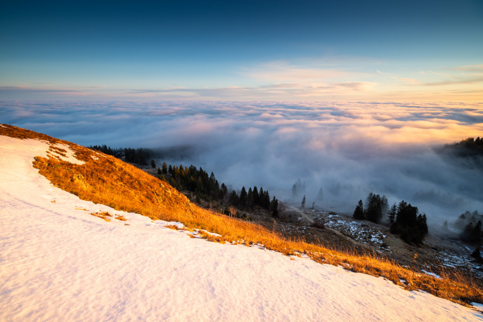 Morgenstimmung mit Nebelmeer auf dem Baldenweger Buck