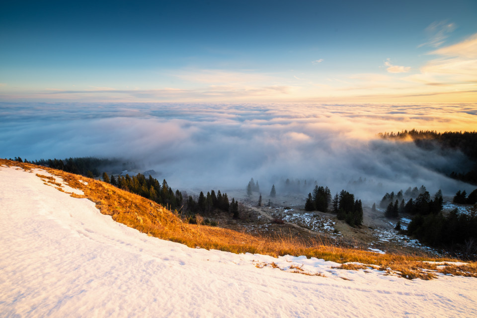 Morgenstimmung mit Nebelmeer auf dem Baldenweger Buck