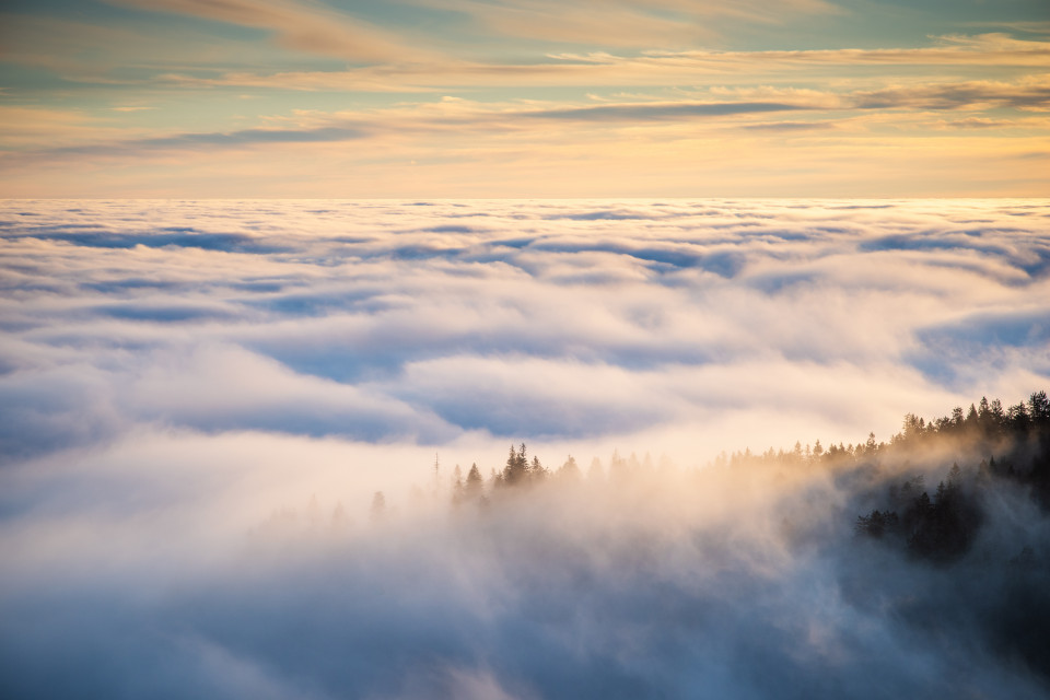 Nebelmeer unter dem Feldberg