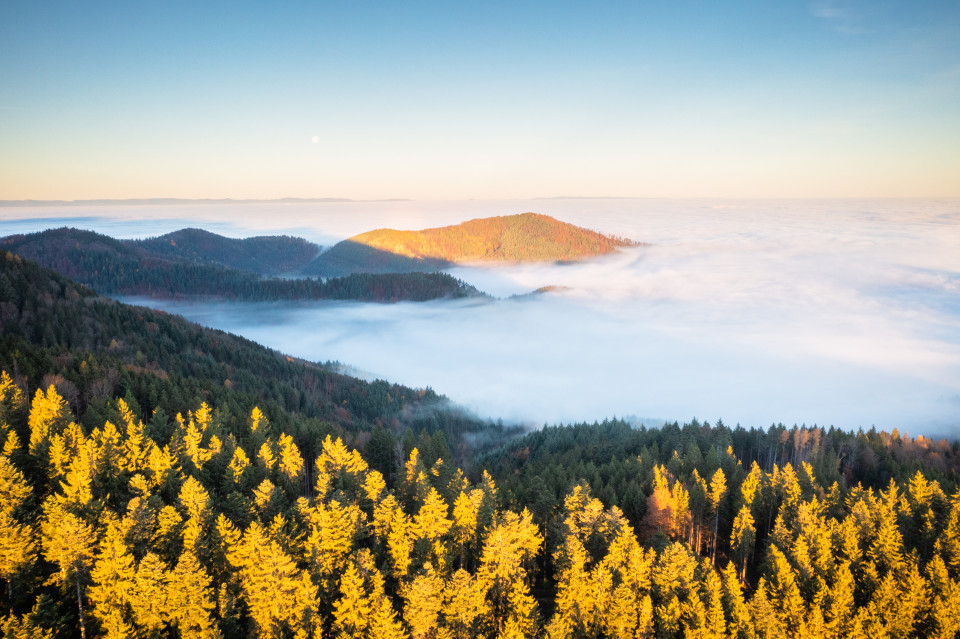 Nebelmeer über dem Dreisamtal