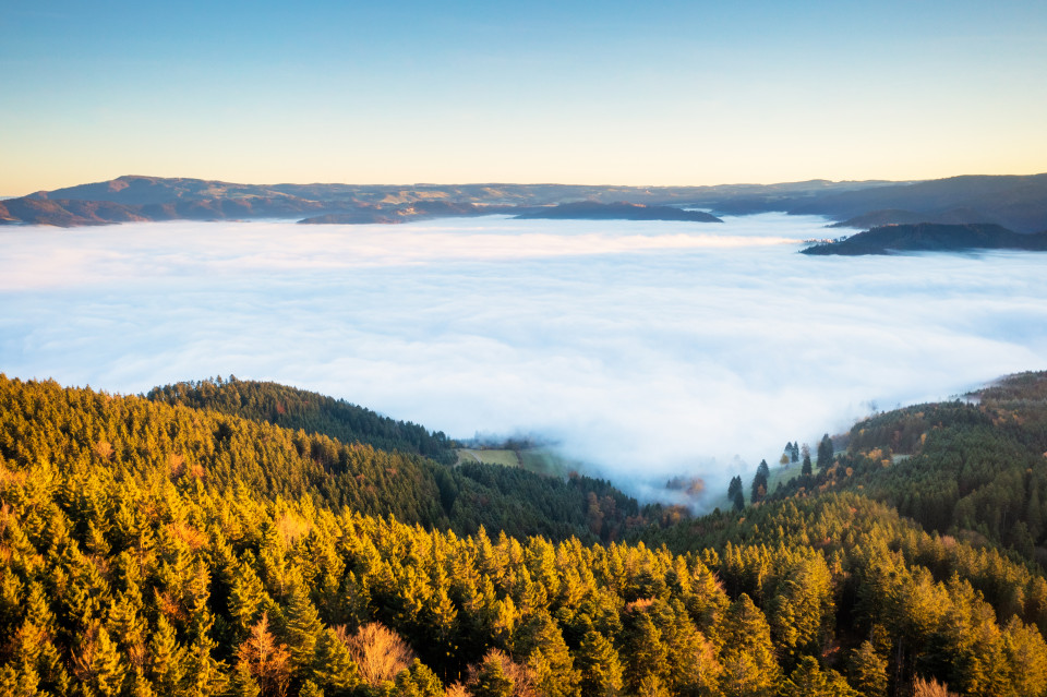 Nebelmeer über dem Dreisamtal