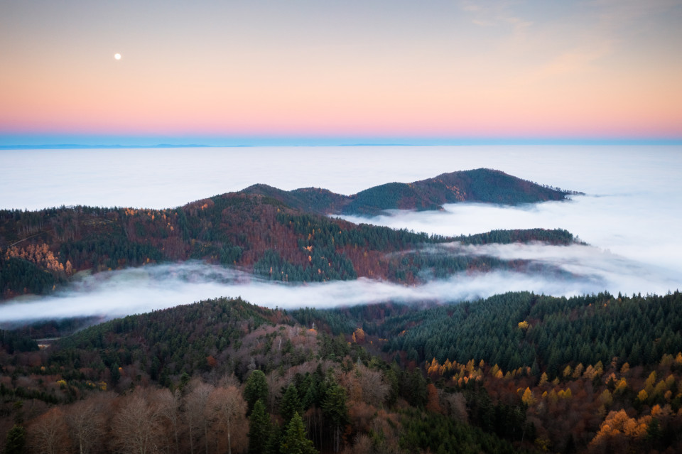 Nebelmeer über der Rheinebene