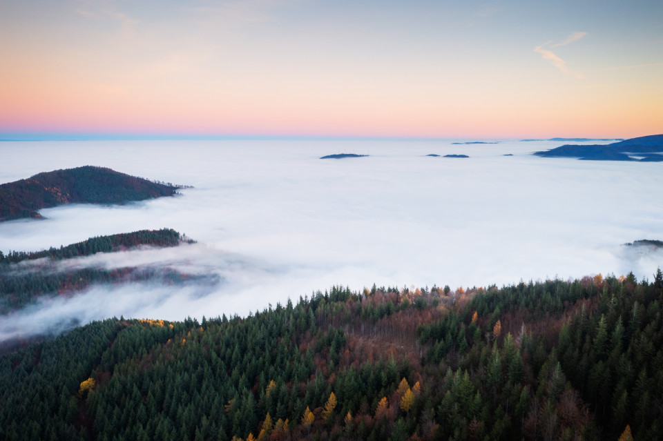 Nebelmeer über der Rheinebene