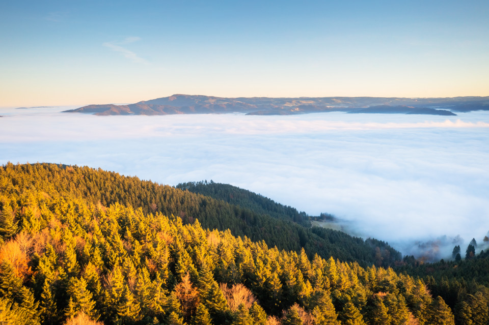 Nebelmeer über dem Dreisamtal