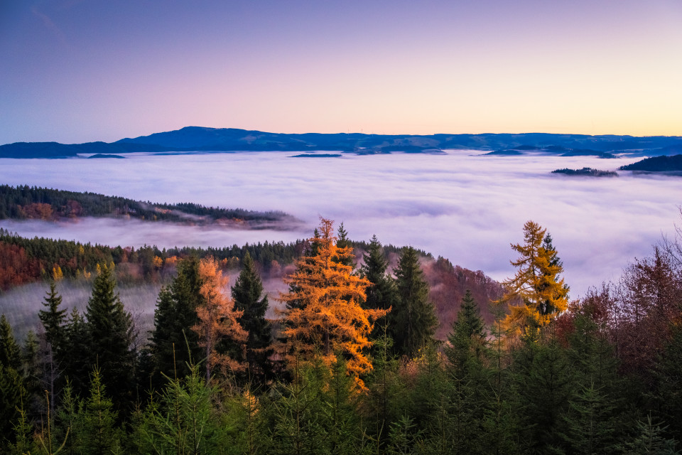 Nebelmeer über dem Dreisamtal