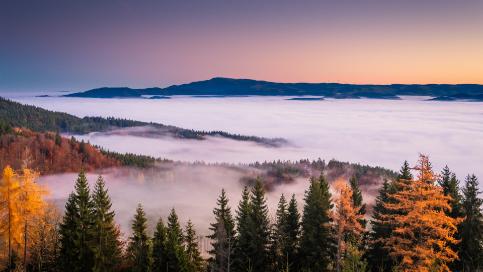 Nebelmeer über dem Dreisamtal