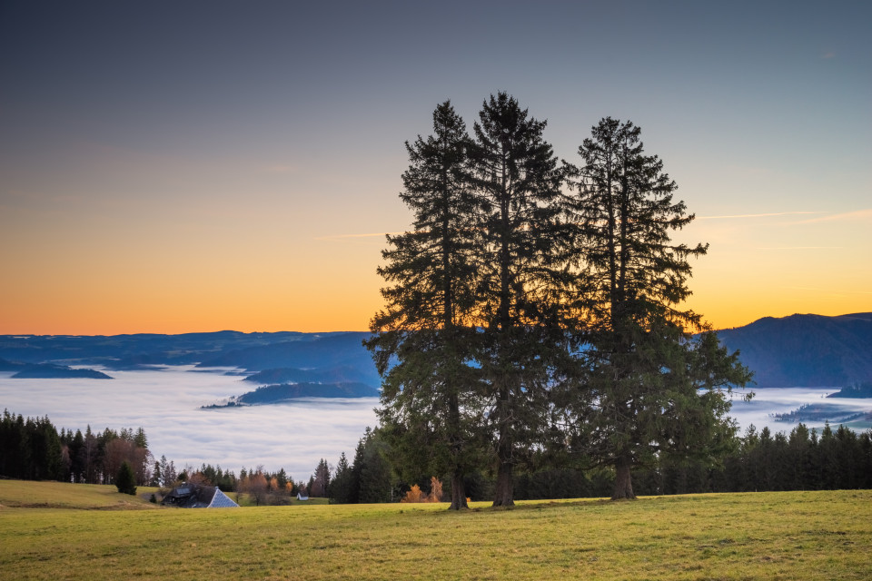 Morgendämmerung, Rappeneck