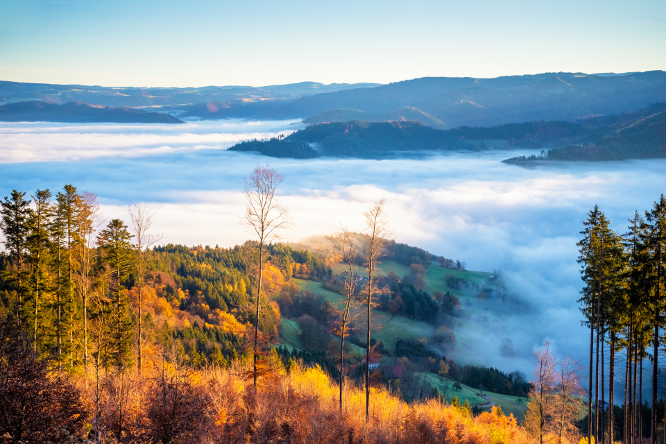 Nebelmeer über dem Dreisamtal